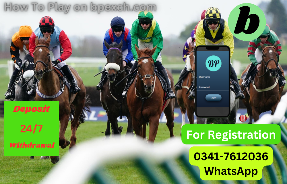 Horse Racing Tips || 03417612036 || Bpexch login